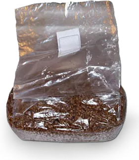 magic rye mushbag