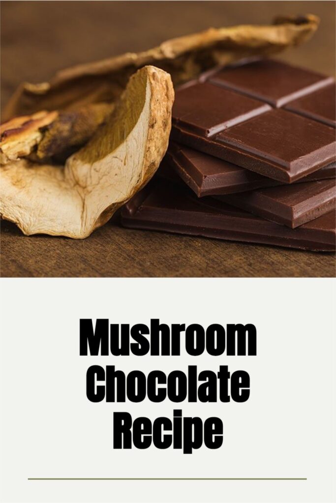 Reishi mushroom chocolate