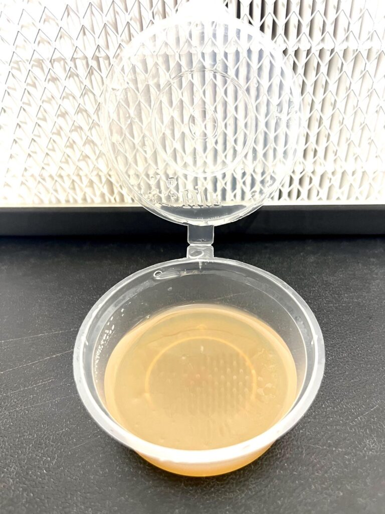 mushroom agar plates